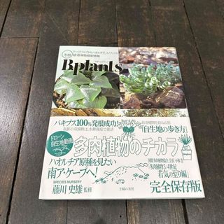 ビザールプランツ　冬型珍奇植物最新情報(趣味/スポーツ/実用)