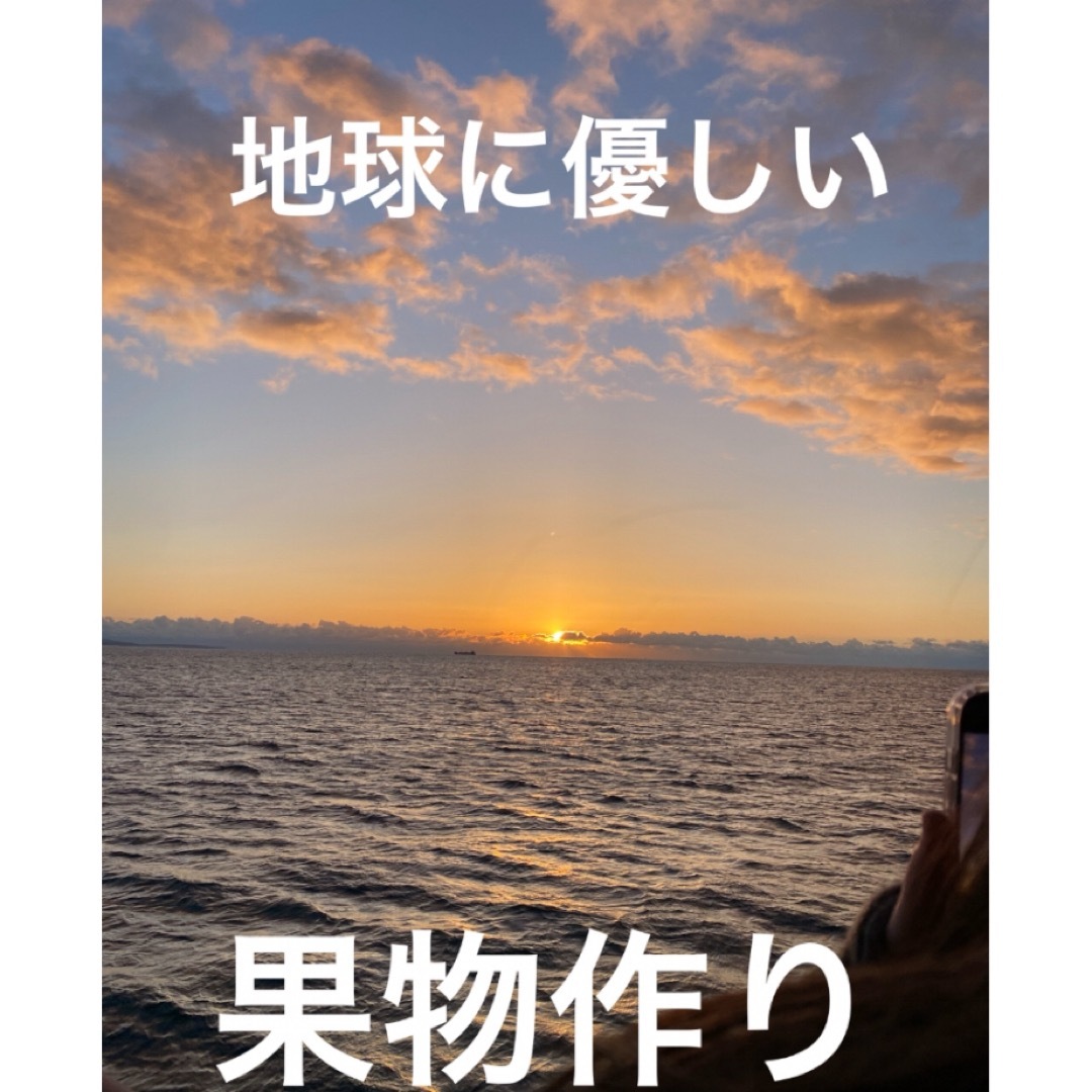 減農薬栽培山形県東根市産❣️立派過ぎな特大玉はいかが？３キロ8玉pk詰め贈答 食品/飲料/酒の食品(フルーツ)の商品写真