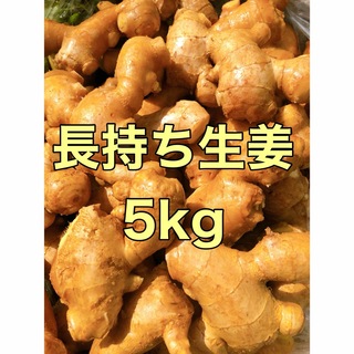 親生姜5kg(野菜)