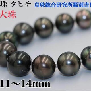 新品 黒蝶真珠 タヒチ 大珠 ネックレスSV 11〜14mm(ネックレス)