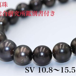 新品 黒蝶真珠 タヒチ 大珠 ネックレスSV 10.8〜15.5mm(ネックレス)