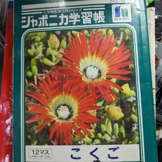 ショウワノート(ショウワノート)のショウワノート ジャポニカ学習帳 国語 12マス 1冊(ノート/メモ帳/ふせん)