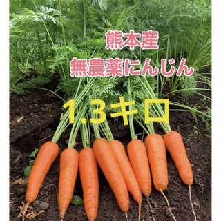 熊本産農薬不使用にんじん1.3キロ(野菜)