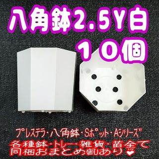 《2.5Y》カネヤ 八角鉢 白 10個 プラ鉢 多肉植物 2.5号相当 プレステ(プランター)