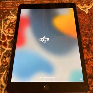 DG5YL 完動品iPad Air2(A1567)本体64GBグレイau送料込