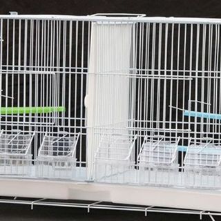 2部屋 ツイン鳥かご スクエアタイプ 鳥小屋 鳥カゴ 鳥 ゲージ ケージ(鳥)