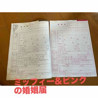 ゼクシィ 3月号付録　ミッフィー＆ピンクの婚姻届(結婚/出産/子育て)