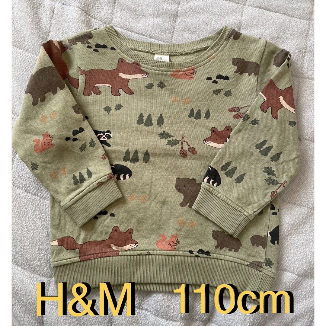 H&M(エイチアンドエム)のエイチアンドエム　トレーナー　110cm キッズ/ベビー/マタニティのキッズ服男の子用(90cm~)(Tシャツ/カットソー)の商品写真