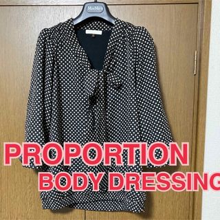 プロポーションボディドレッシング(PROPORTION BODY DRESSING)のPROPORTION BODY DRESSING シフォンブラウス(シャツ/ブラウス(長袖/七分))