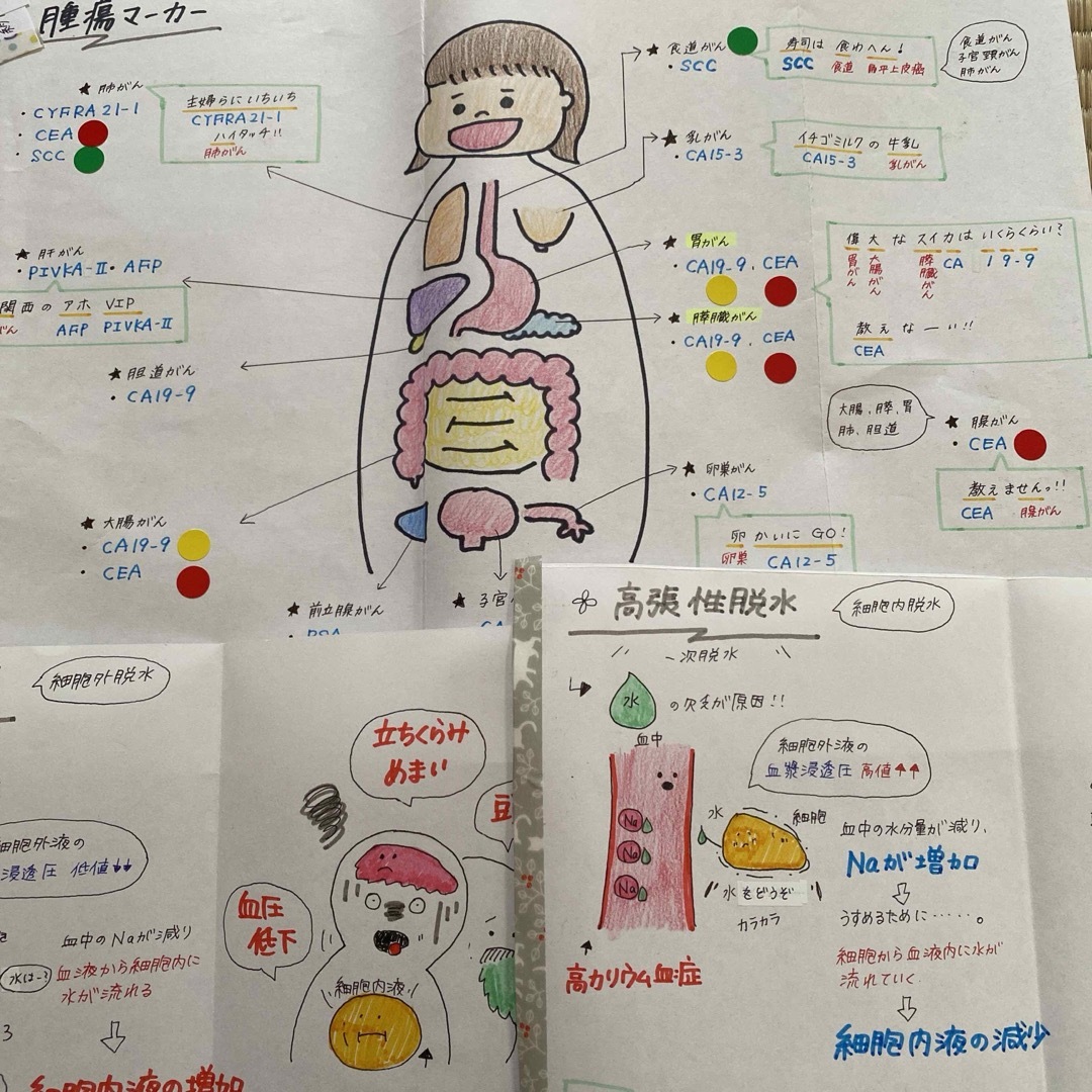 ぼたん様専用！ エンタメ/ホビーの本(語学/参考書)の商品写真