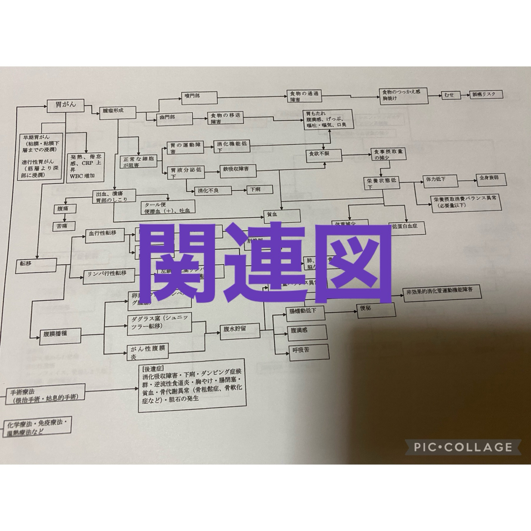 ぼたん様専用！ エンタメ/ホビーの本(語学/参考書)の商品写真