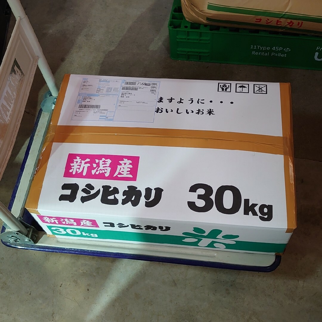 新潟コシヒカリ玄米30kg！生産農家直送 食品/飲料/酒の食品(米/穀物)の商品写真