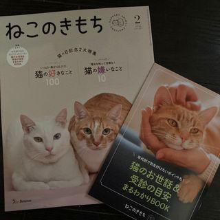 ねこのきもち　最新号　2024 2月号　付録小冊子付き(専門誌)