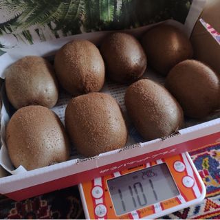 🌟和歌山産🥝キウイ大きめ1.1kg🌟(フルーツ)