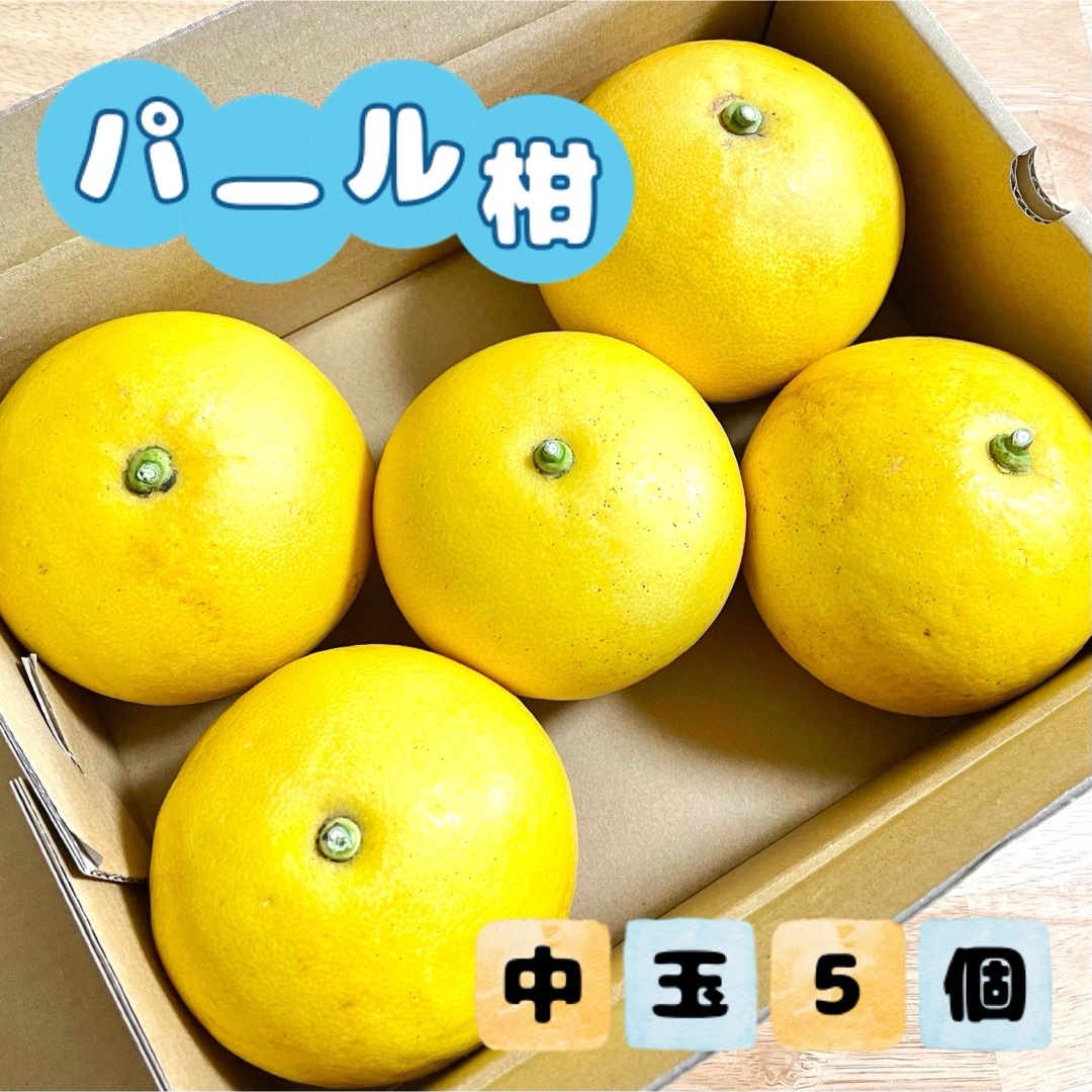 福岡県産 パール柑 中玉5個 食品/飲料/酒の食品(フルーツ)の商品写真