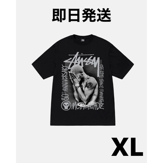 STUSSY - 「新品・未使用」stussyショートスリーブTシャツ 男女兼用の ...