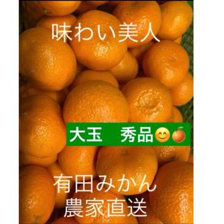 有田みかん農家直送⭐️ブランド味わい美人大玉秀品箱込み5キロ(フルーツ)