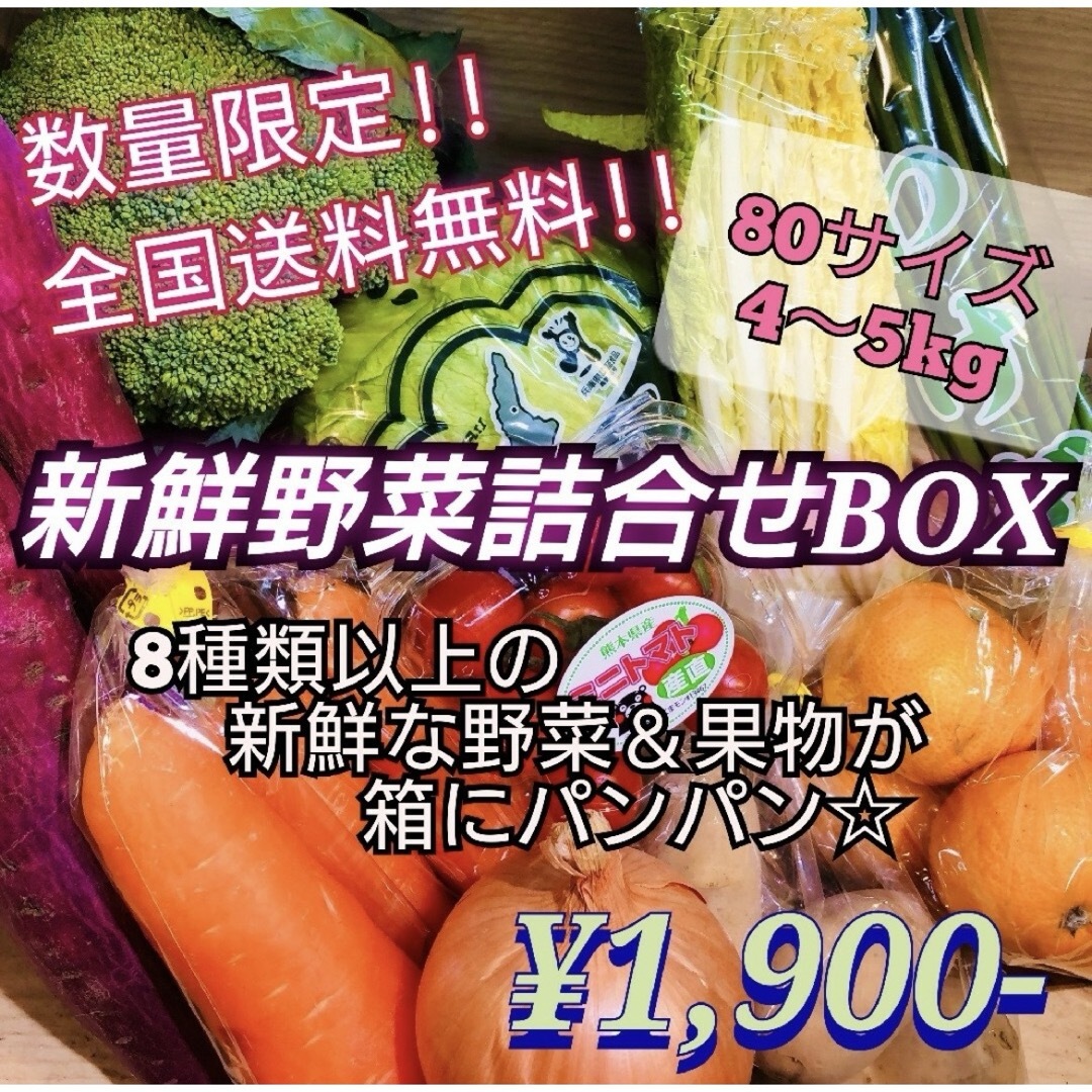 新鮮野菜と果物 山盛り詰合せBOX 全国送料無料！ 食品/飲料/酒の食品(野菜)の商品写真