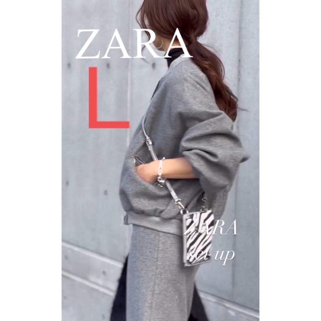 ZARA(ザラ)のZARA ソフトボンバージャケット　ブルゾン　drawer dolce PLST レディースのジャケット/アウター(ブルゾン)の商品写真