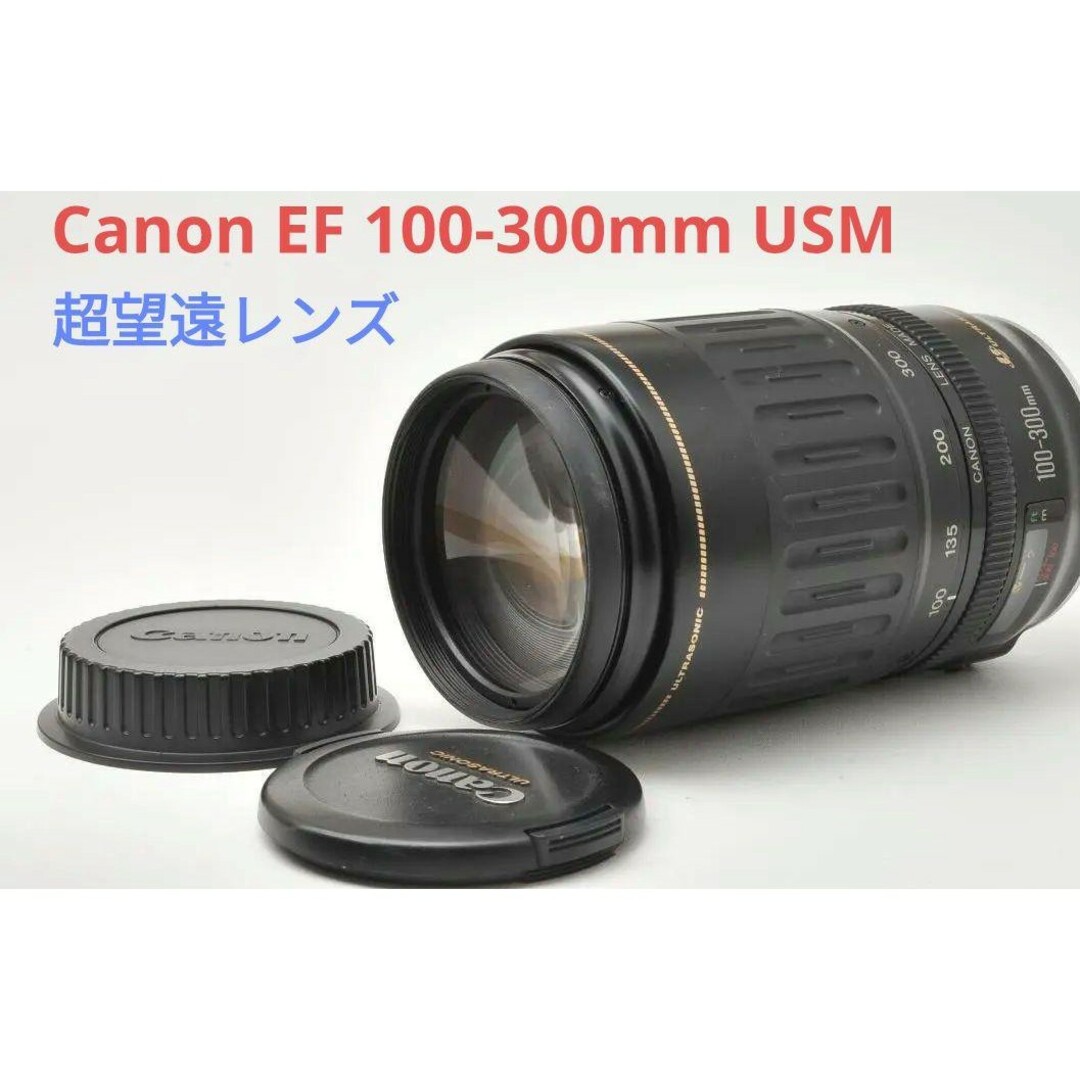 Canon(キヤノン)の大迫力望遠レンズ♪Canon EF 100-300mm F4.5-5.6 スマホ/家電/カメラのカメラ(レンズ(ズーム))の商品写真