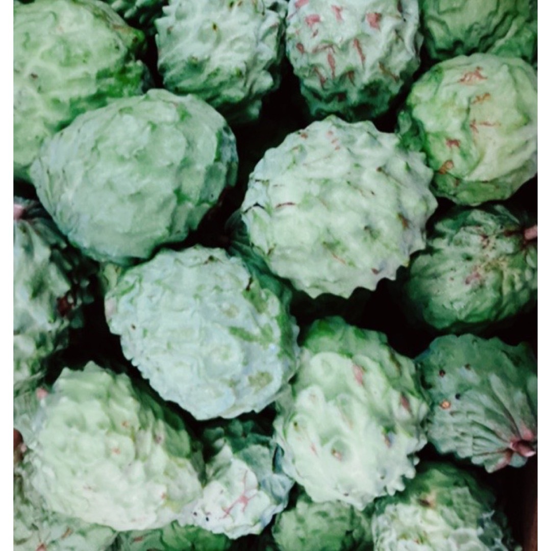 あまくとろける！！森のアイスクリーム！沖縄産アテモヤおまかせ！お試しにも！！ 食品/飲料/酒の食品(フルーツ)の商品写真