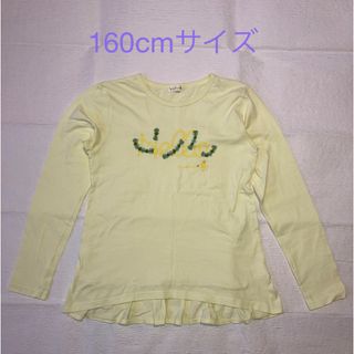 ニットプランナー(KP)のKP カットソー　160cmサイズ(Tシャツ/カットソー)