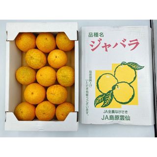 長崎県産　ジャバラみかん　1箱　8〜15個　風袋込約2kg(フルーツ)