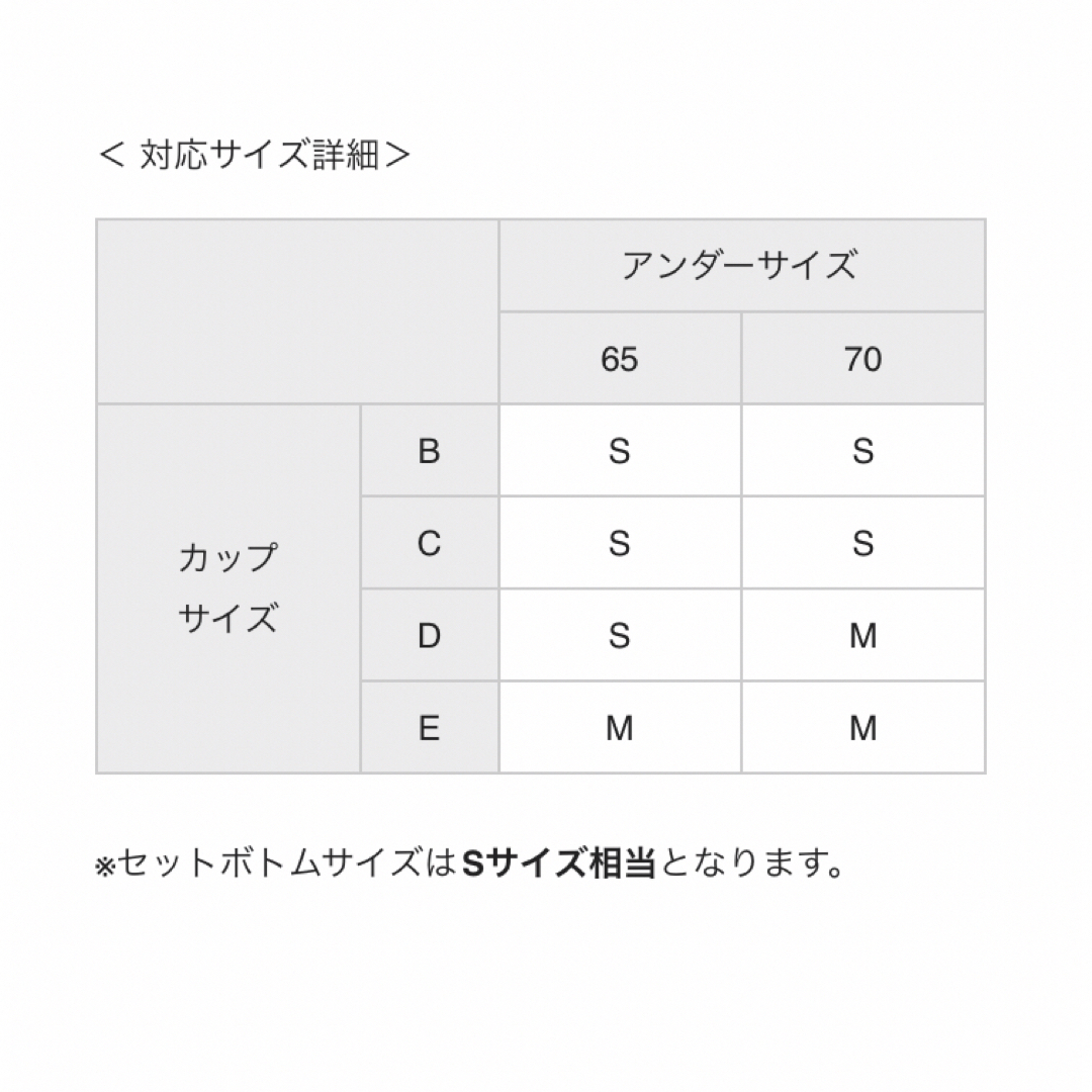 Ravijour(ラヴィジュール)のRAVIJOUR クラシカル ブラ＆Ｔバック＆チョーカー セット レディースの下着/アンダーウェア(ブラ&ショーツセット)の商品写真