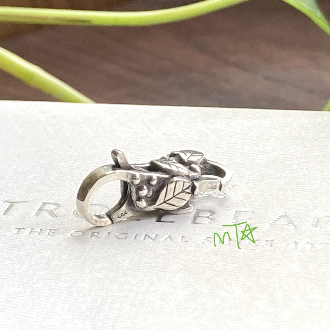 Trollbeads Safe Space Clasp Lock only レディースのアクセサリー(チャーム)の商品写真