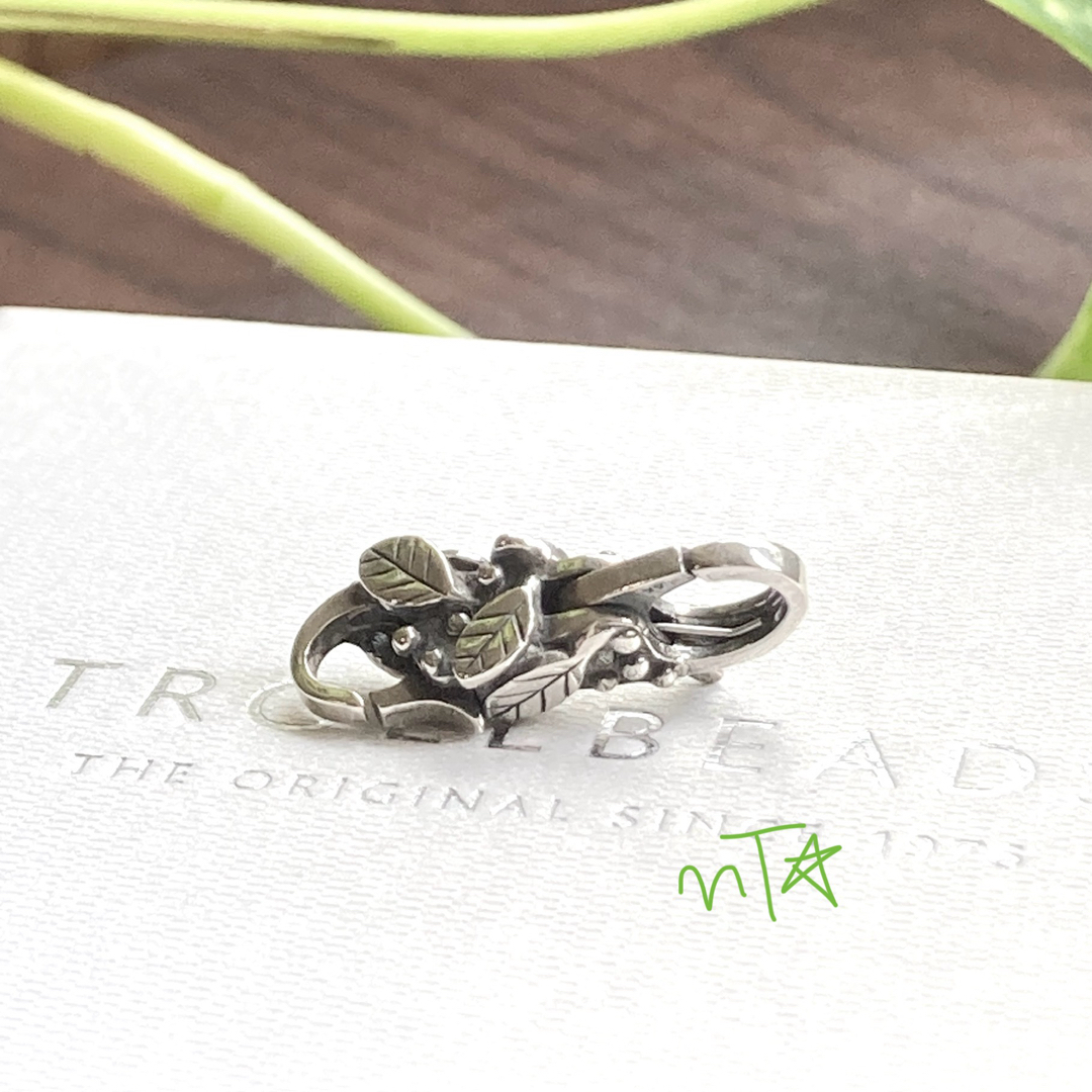 Trollbeads Safe Space Clasp Lock only レディースのアクセサリー(チャーム)の商品写真