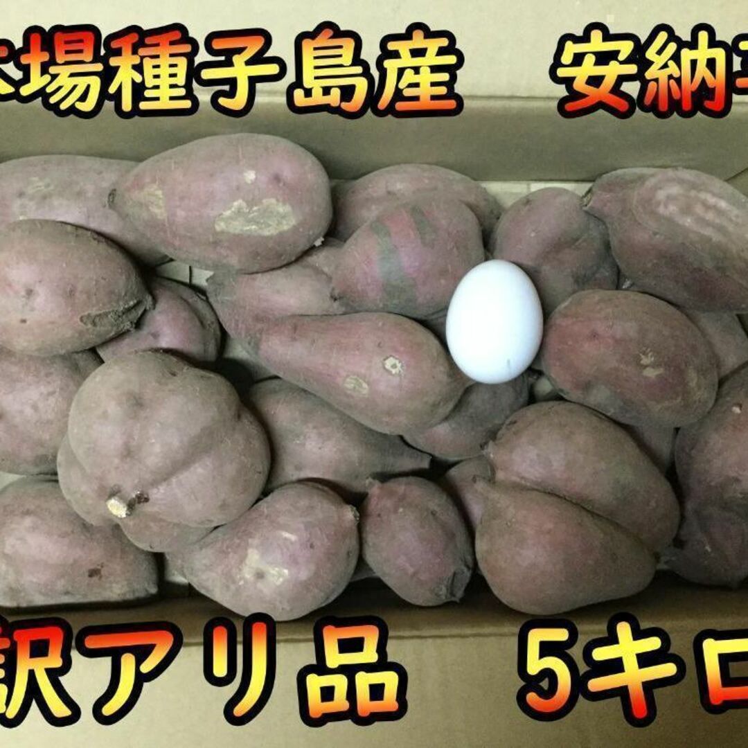 完熟！】訳アリ品 安納芋紅（SMLサイズ混合） 5kg【本場種子島産】の