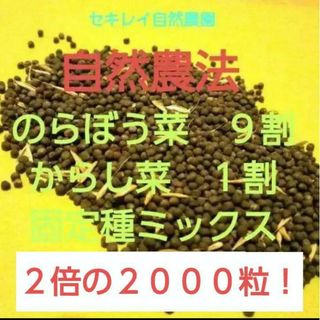 自然農法　のらぼう菜&レッドマスタード（からし菜）の固定種ミックス　２０００粒以(野菜)