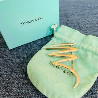 ティファニー(Tiffany & Co.)の【極美品】Tiffany ティファニー スクリンブル ブローチ パロマ ピカソ(ブローチ/コサージュ)