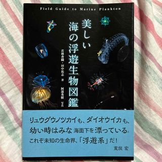 美しい海の浮遊生物図鑑(科学/技術)