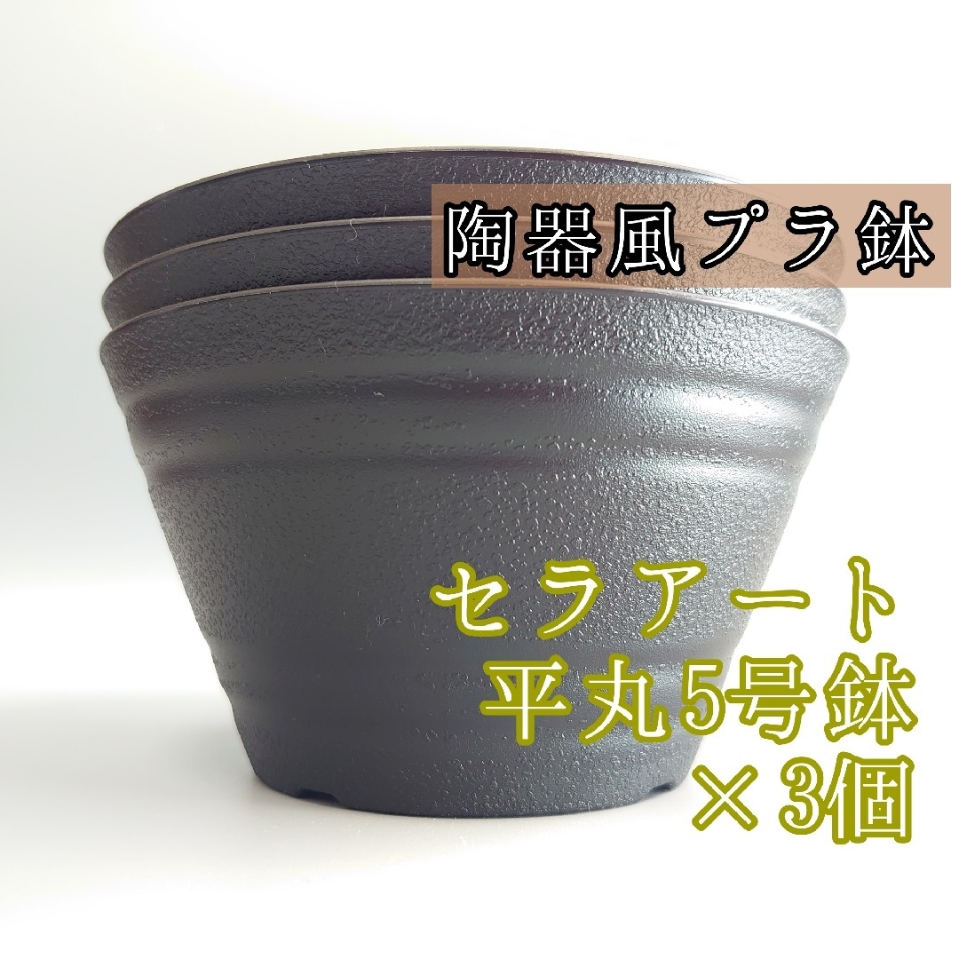 セラアート 5号 3個 平丸鉢 平鉢 プラ鉢 多肉植物 塊根植物 サボテン ハンドメイドのフラワー/ガーデン(プランター)の商品写真