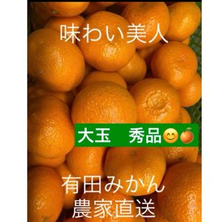 有田みかん農家直送⭐️ブランド味わい美人大玉秀品箱込み10キロ(フルーツ)