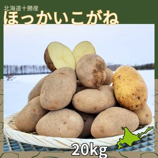 【20kg 】北海道産　じゃがいも　ほっかいこがね(野菜)