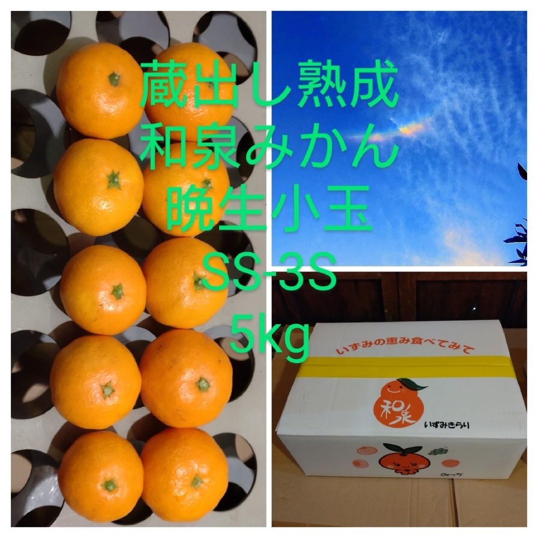 蔵出し熟成和泉みかん　晩生小玉5kg 食品/飲料/酒の食品(フルーツ)の商品写真