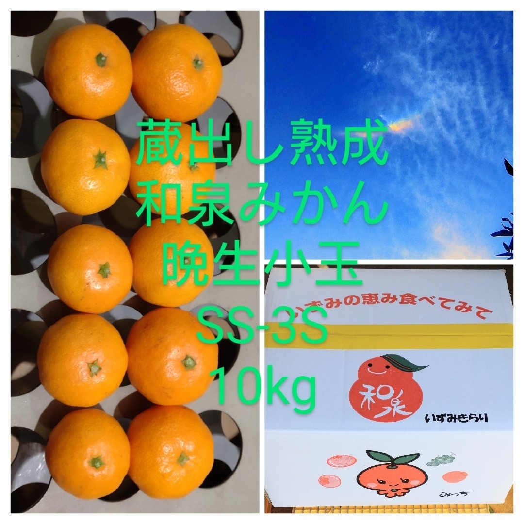 蔵出し熟成和泉みかん　晩生小玉10kg 食品/飲料/酒の食品(フルーツ)の商品写真