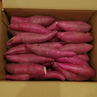 65 千葉県産　べにはるか　さつまいも　サツマイモ　約2.8㎏(野菜)