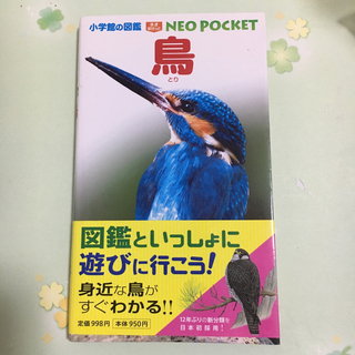 ショウガクカン(小学館)の鳥　図鑑(絵本/児童書)