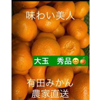 有田みかん農家直送⭐️ブランド味わい美人大玉秀品箱込み5キロ(フルーツ)