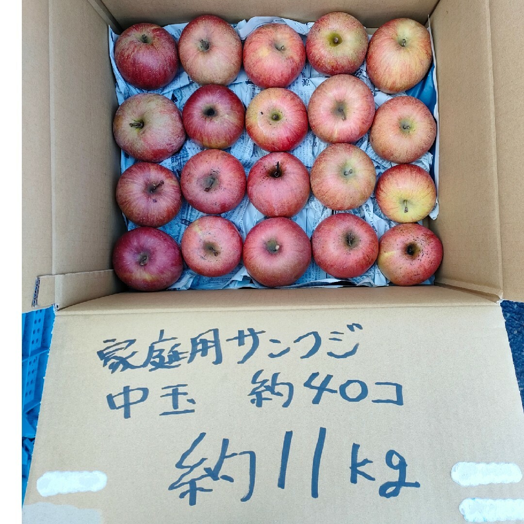 本州、四国宛発送　家庭用サンふじ約11キロ 食品/飲料/酒の食品(フルーツ)の商品写真