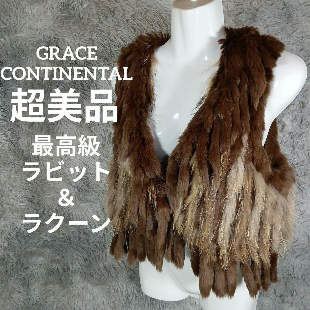 GRACE CONTINENTAL(グレースコンチネンタル)の20-229超美品　グレースコンチネンタル　ファーベスト　36　ラビット　タヌキ レディースのトップス(ベスト/ジレ)の商品写真