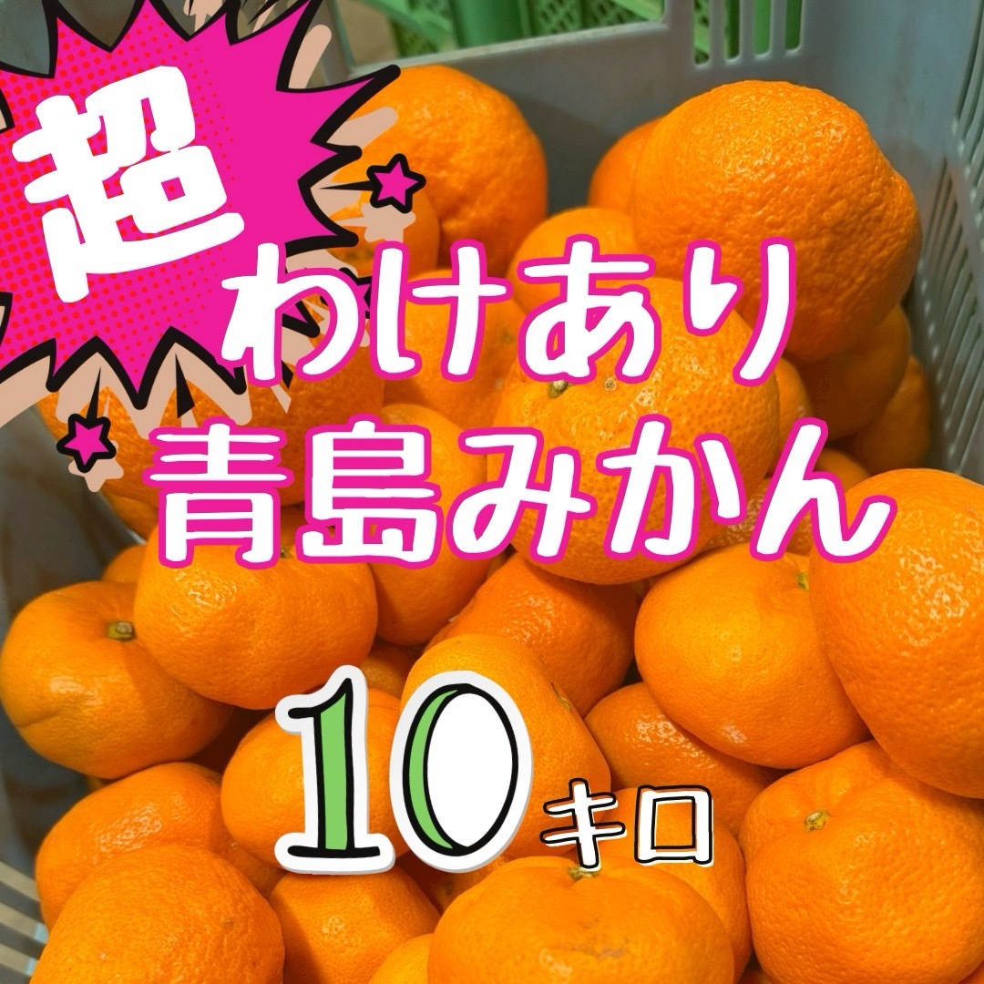 超訳あり！静岡県産【青島みかん】10キロ  サイズ混合 食品/飲料/酒の食品(フルーツ)の商品写真