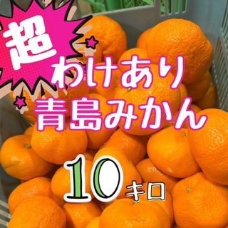 超訳あり！静岡県産【青島みかん】10キロ  サイズ混合(フルーツ)