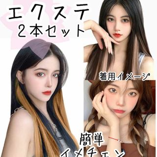 ⭐️2本セット⭐️ヘアピース コスプレ インナーカラー エクステ イメチェン(その他)