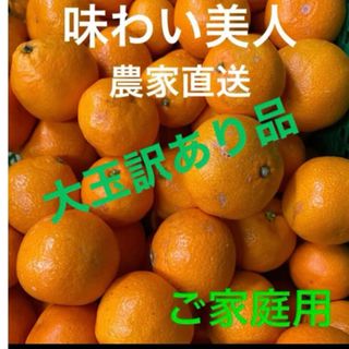 有田みかん農家直送⭐️訳あり大玉ご家庭用箱込み10キロ(フルーツ)