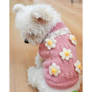 《格安‼️》DOG ウェア(ペット服/アクセサリー)