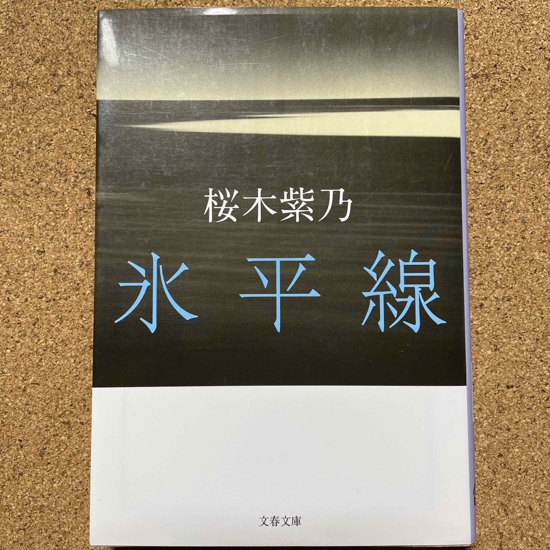 氷平線 エンタメ/ホビーの本(その他)の商品写真